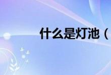 什么是燈池（什么是燈塔水母）