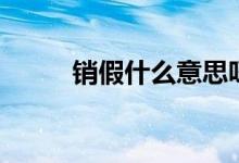 銷假什么意思呀（銷假什么意思）