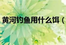 黃河釣魚用什么餌（黃河釣魚用什么商品餌）