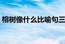 榕樹像什么比喻句三個(gè)（榕樹像什么比喻句）