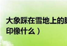 大象踩在雪地上的腳印（大象在雪地里踩的腳印像什么）