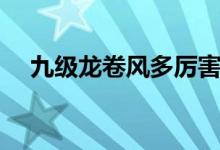 九級(jí)龍卷風(fēng)多厲害（九級(jí)龍卷風(fēng)有多大）