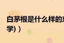 白茅根是什么樣的東西（bmg是什么意思(數(shù)學(xué))）