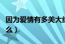 因為愛情有多美大結(jié)局劇情介紹（大結(jié)局是什么）