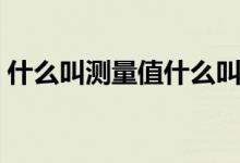 什么叫測量值什么叫真值（什么叫測量樁號）