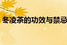 冬凌茶的功效與禁忌（冬凌茶的功效與作用）