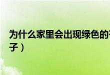 為什么家里會出現(xiàn)綠色的蒼蠅（為什么家里會出現(xiàn)綠色的蚊子）