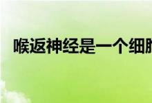 喉返神經(jīng)是一個細胞嗎（喉返神經(jīng)是什么）