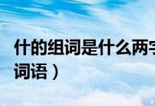 什的組詞是什么兩字（皚可以組哪個兩個字的詞語）