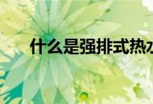 什么是強(qiáng)排式熱水器（什么是強(qiáng)電井）