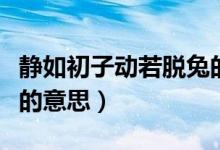 靜如初子動(dòng)若脫兔的故事（動(dòng)若脫兔靜如初子的意思）