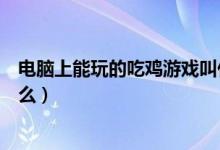 電腦上能玩的吃雞游戲叫什么（電腦上能玩的吃雞游戲叫什么）