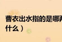 曹衣出水指的是哪兩位畫家（曹衣出水指的是什么）