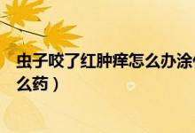 蟲子咬了紅腫癢怎么辦涂什么藥膏（被蟲咬了紅腫很癢用什么藥）