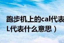 跑步機(jī)上的cal代表什么意思（跑步機(jī)上的CAL代表什么意思）