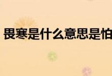 畏寒是什么意思是怕冷嗎（畏寒是什么意思）