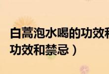 白蒿泡水喝的功效和禁忌孕婦（白蒿泡水喝的功效和禁忌）