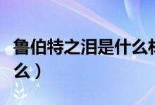 魯伯特之淚是什么材質(zhì)做的（魯伯特之淚是什么）