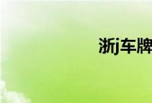 浙j車牌是浙江哪里