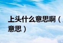 上頭什么意思?。ㄉ项^是什么梗 上頭是什么意思）