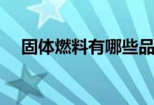 固體燃料有哪些品種（固體燃料有哪些）