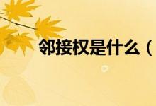 鄰接權(quán)是什么（鄰接權(quán)是什么意思）