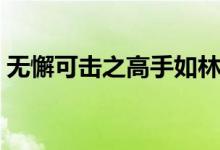 無懈可擊之高手如林電視劇劇情（主演有誰）