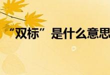“雙標(biāo)”是什么意思（雙標(biāo)是什么意思網(wǎng)絡(luò)）