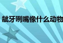 齜牙咧嘴像什么動物（齜牙咧嘴昰什么動物）