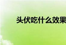 頭伏吃什么效果最好（頭伏吃什么）