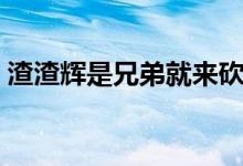 渣渣輝是兄弟就來砍表情（渣渣輝是什么梗）