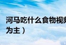 河馬吃什么食物視頻中國版（河馬吃什么食物為主）
