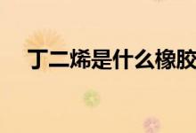 丁二烯是什么橡膠（丁二烯是什么東西）