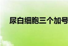 尿白細胞三個加號（尿白細胞三個加號）