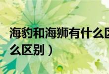 海豹和海獅有什么區(qū)別視頻（海豹和海獅有什么區(qū)別）