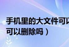 手機里的大文件可以清理嗎（手機里的大文件可以刪除嗎）