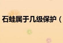 石蛙屬于幾級保護（石蛙屬于幾級保護動物）