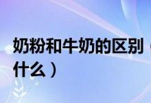 奶粉和牛奶的區(qū)別（喝純牛奶和奶粉的區(qū)別是什么）