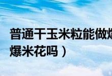 普通干玉米粒能做爆米花嗎（普通干玉米能做爆米花嗎）