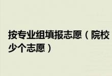按專業(yè)組填報(bào)志愿（院校 專業(yè)組的志愿填報(bào)考生需要填報(bào)多少個(gè)志愿）