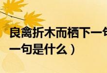 良禽折木而棲下一句是什么（良禽折木而棲下一句是什么）