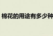 棉花的用途有多少種（棉花的用途有多少種）