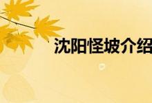 沈陽怪坡介紹（沈陽怪坡原理）