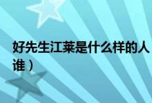 好先生江萊是什么樣的人（電視劇好先生中江萊的扮演者是誰）