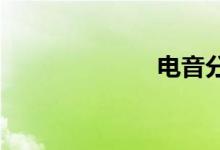 電音分幾種風格