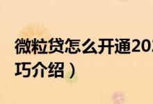 微粒貸怎么開通2020（2020年微粒貸開通技巧介紹）