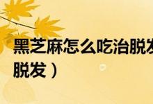 黑芝麻怎么吃治脫發(fā)掉發(fā)的（黑芝麻怎么吃治脫發(fā)）