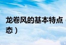 龍卷風(fēng)的基本特點（龍卷風(fēng)的特點是有什么形態(tài)）
