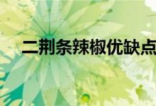 二荊條辣椒優(yōu)缺點（二荊條辣椒的特點）