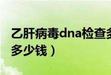 乙肝病毒dna檢查多少錢（乙肝病毒dna檢查多少錢）